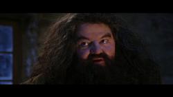 You're a faggot Harry - Hagrid